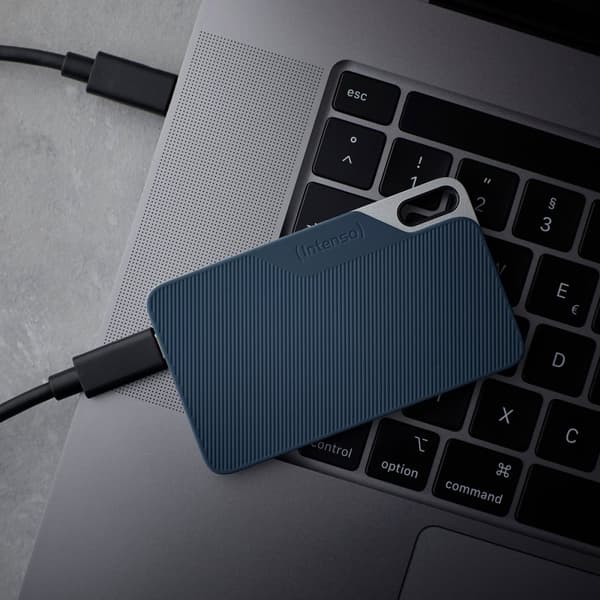 Intenso læse/skrive op til 500 MB/s/500 GB Blå - Grå (3826450)