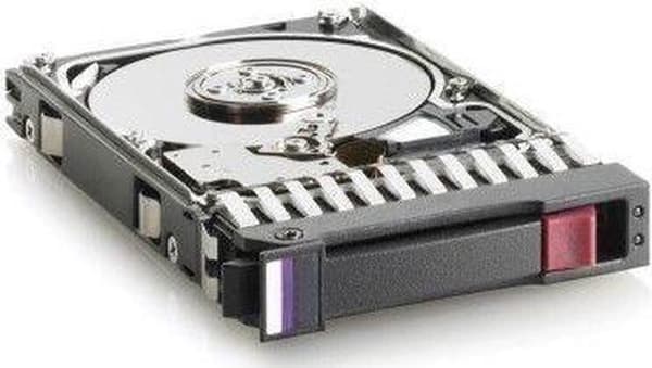 Hewlett Packard Enterprise 713958-001 300GB SAS intern hårddisk