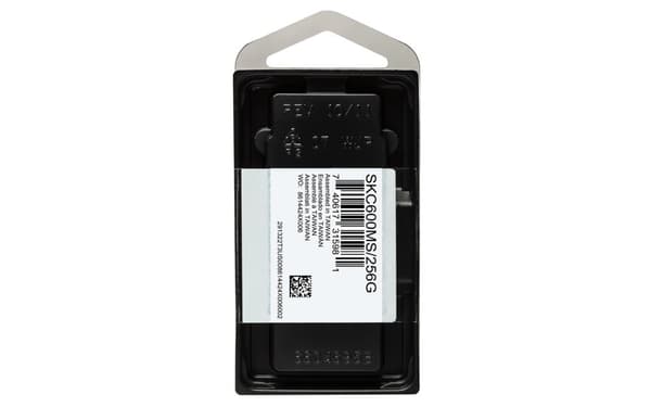 Kingston Technology 256G SSD KC600 SATA3 mSATA