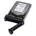 Miniatyrbillede 1 af 2: Harddisk Dell 400-AUPW 3,5" 7200 rpm 1 TB