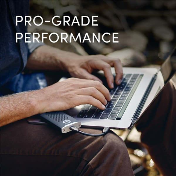 WESTERN DIGITAL SANDISK Profes