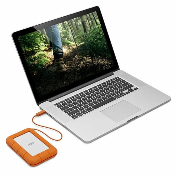 Extern Hårddisk Seagate WDBVXC0060HWT-EESN 5 TB