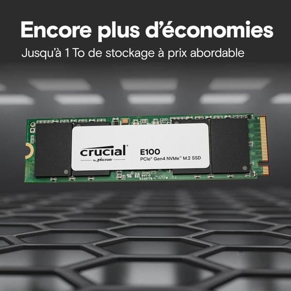CRUCIAL E100 480G Gen4 2280