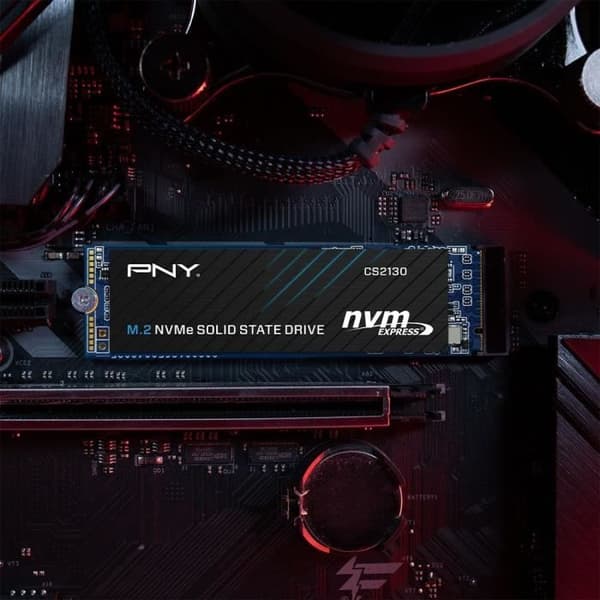 PNY - Intern Solid State Drive - CS2130 - 500 GB - M.2 NVMe (M280CS2130-500-RB)