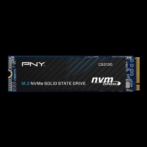 PNY - Intern Solid State Drive - CS2130 - 500 GB - M.2 NVMe (M280CS2130-500-RB)