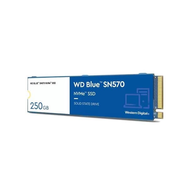 Western Digital WD Blue SN570 250 GB SSD intern hårddisk - SATA-600 - 600 MB/s