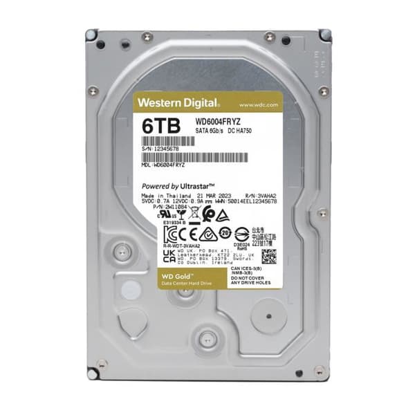 WD Gold WD6004FRYZ - disk