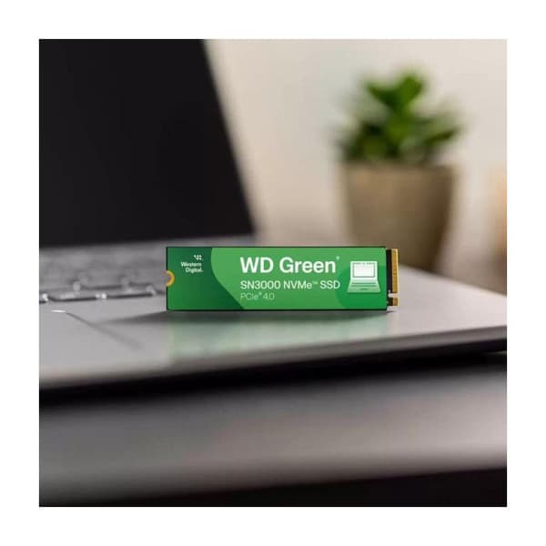 Intern SSD-enhet - WESTERN DIGITAL - WD Green SN3000 - 500 GB - PCIe Gen4 - M.2 2280