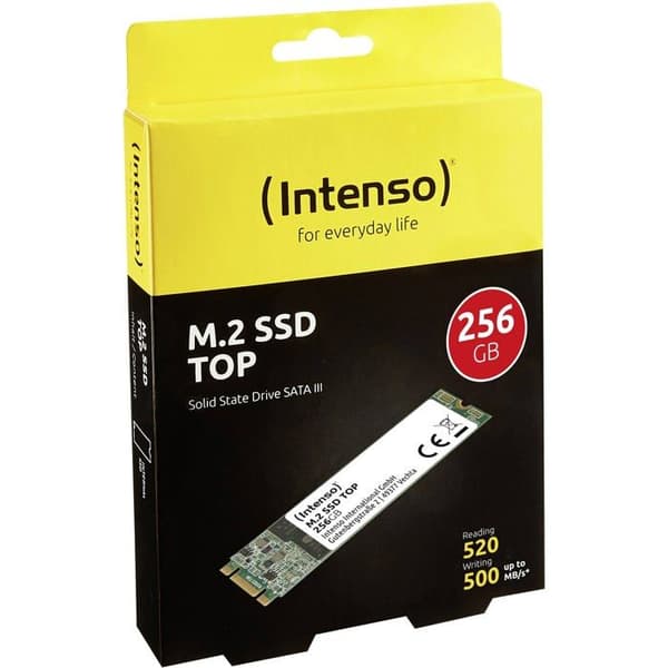 INTENSO 3832440 256 GB SSD 2,5" SATA III hårddisk - INTENSO - 3832440 - 256 GB - SATA 6Gb/s - M.2 2280