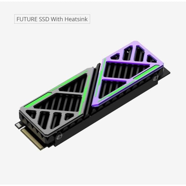 HIKSEMI - Intern SSD - 1024GB - M.2 - Framtida PCIe Gen 4x4, NVMe 7450MB/s 6600MB/s (HS-SSD-FUTURE(STD)/1024G/PCIE4)