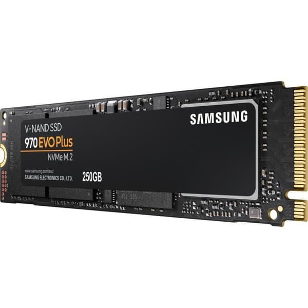 SAMSUNG - Intern SSD - 970 EVO PLUS - 250 GB - M.2 (MZ-V7S250BW)