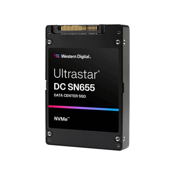 Kovalevy Western Digital 0TS2462 3,84 TB SSD