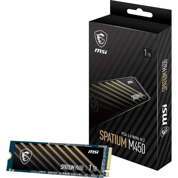 MSI 1To M.2 NVMe Gen4