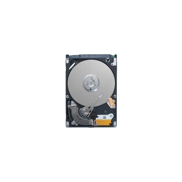 DELL 161-BBOY intern hårddisk 3,5" 4 TB SAS