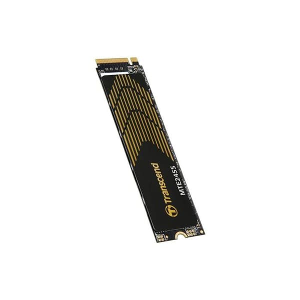 TRANSCEND 250Go M.2 2280 PCIe