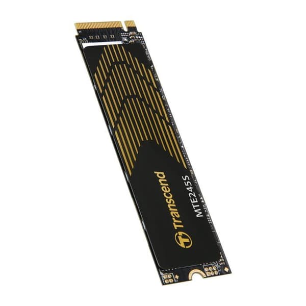 TRANSCEND 250Go M.2 2280 PCIe
