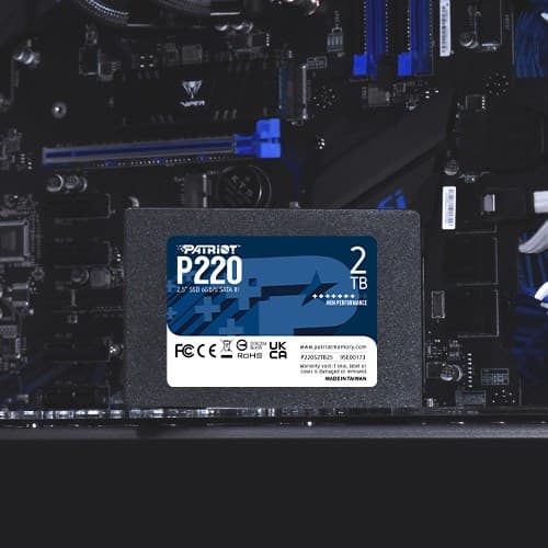 Patriot-minne P220 2TB 2,5" Seriell ATA III