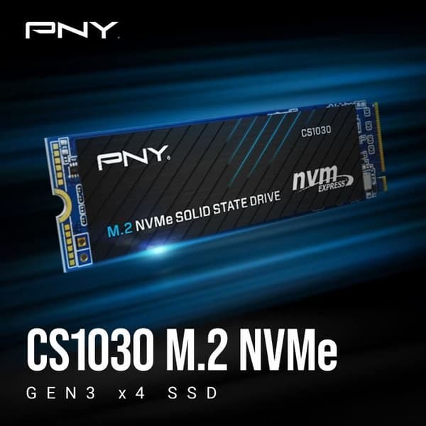 Intern Solid State Drive - PNY - CS1030 M.2 GEN3 - 250 GB - NVMe (M280CS1030-250-RB)