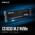 Miniatyrbild 5 av 5: Intern Solid State Drive - PNY - CS1030 M.2 GEN3 - 250 GB - NVMe (M280CS1030-250-RB)