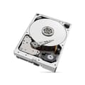 Miniatyrbild 5 av 5: Seagate ST10000NT001 3,5" 10TB hårddisk