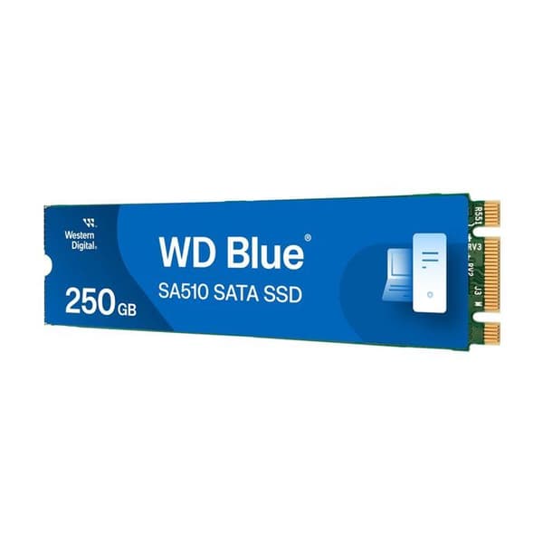 SSD-enhet - WESTERN DIGITAL - WD Blue™ SA510 - 250 GB - M.2 SATA - 600 MB/s