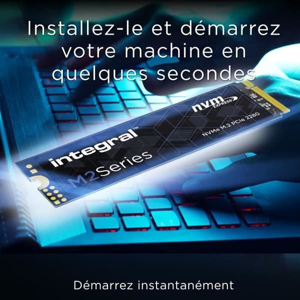 INTEGRAL - Intern Solid State Drive - M2 SERIES M.2 2280 PCIE NVMe- 250Go - M.2 NVMe PCIe Gen3x4 (INSSD250GM280NM2)