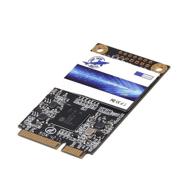 Dogfish mSATA SSD 500GB intern högpresterande bärbar hårddisk SATA III 6Gb - SDE
