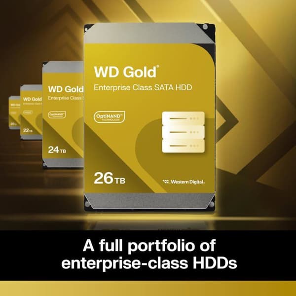 WD Gold WD261KRYZ - hårddisk för