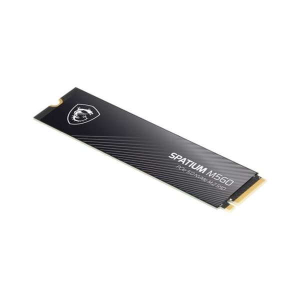 SSD - MSI - SPATIUM M560 - 2 To - PCIe 5.0 - Hastighet 10300 MB/s