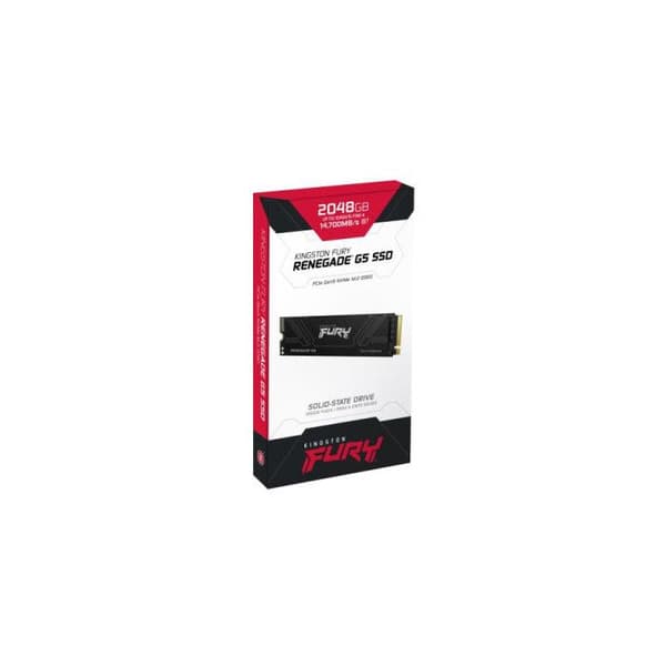KINGSTON FURY Renegade G5 2048