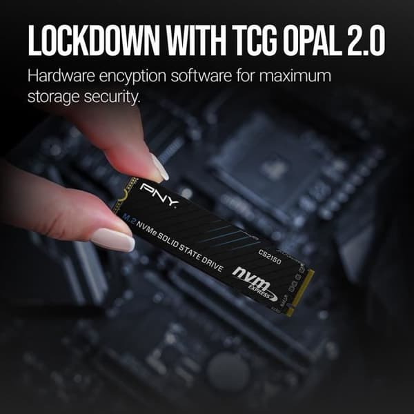 PNY - CS2150 2TB - Intern SSD-hårddisk - 2 To - M.2