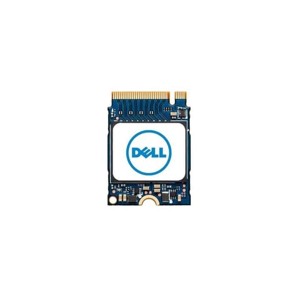 SSD M.2 - DELL - AB673817 - 1 To - PCIe NVMe - Garanti 2 år