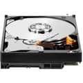 Miniatyrbild 4 av 5: WD Red™ - NAS intern hårddisk - 1TB - 5400 rpm - 64MB cache - 3,5" (WD10EFRX)