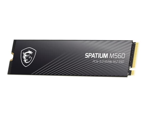 SSD spatium m560 (1tb, m.2, PCie gen5, nvme, 3d nand, skrivhastighet 8400 mbyte/sek, läshastighet 10200 mbyte/sek, tbw 600 tb), Msi