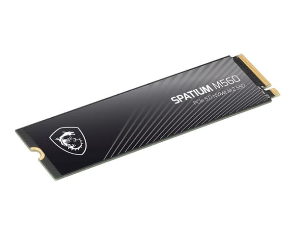 SSD spatium m560 (1tb, m.2, PCie gen5, nvme, 3d nand, skrivhastighet 8400 mbyte/sek, läshastighet 10200 mbyte/sek, tbw 600 tb), Msi