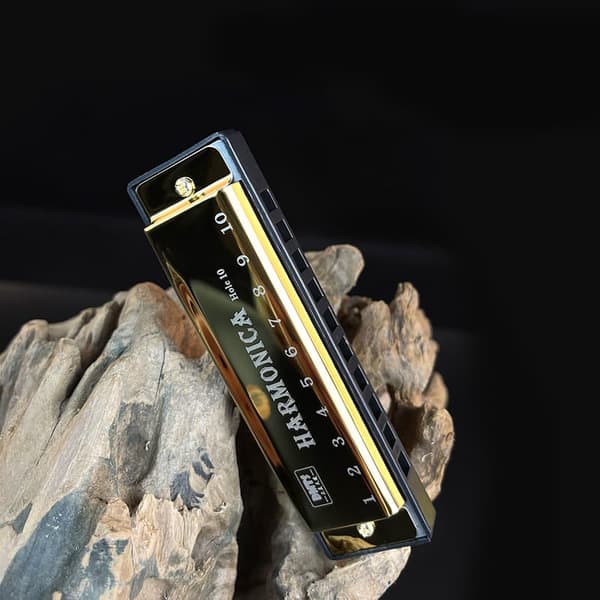 Lollanda 10-håls titanharmonica – munspel i C-dur för barn och nybörjare