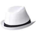 Miniatyrbillede 2 af 2: Beechfield Unisex Fedora Hat