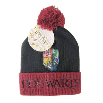 Harry Potter - Hogwarts pompom mössa