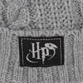 Miniatyrbilde 2 av 4: Harry Potter Unisex Adult Deathly Hallows Beanie