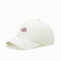 Miniatyrbillede 1 af 3: Sportshue Dickies Hardwick Cloud (Onesize)