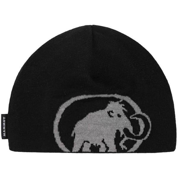 Mammut Beanie Tweak Sort Mand