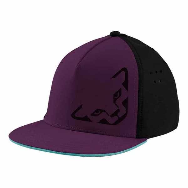 Dynafit Kasket Tech Trucker   Mand