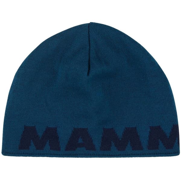 Mammut Pipo Logo Sininen Mies