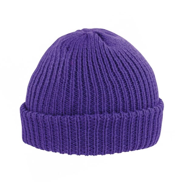 Result Winter Essentials Whistler Beanie