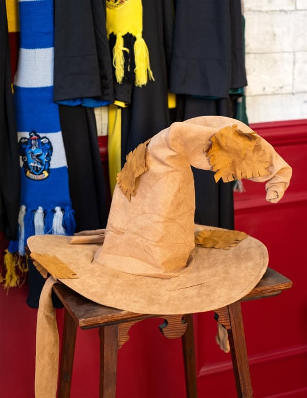 Voksen's Deluxe Harry Potter™-hatt.Size-One size