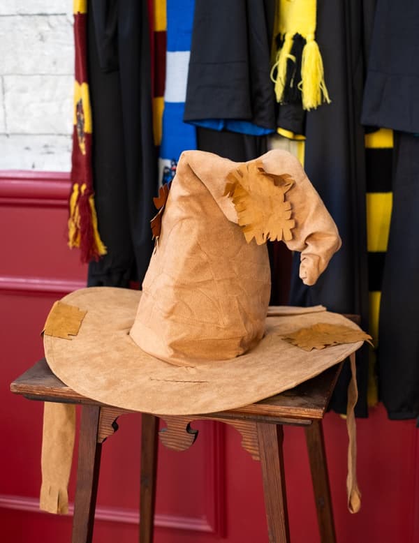 Voksen's Deluxe Harry Potter™-hatt.Size-One size