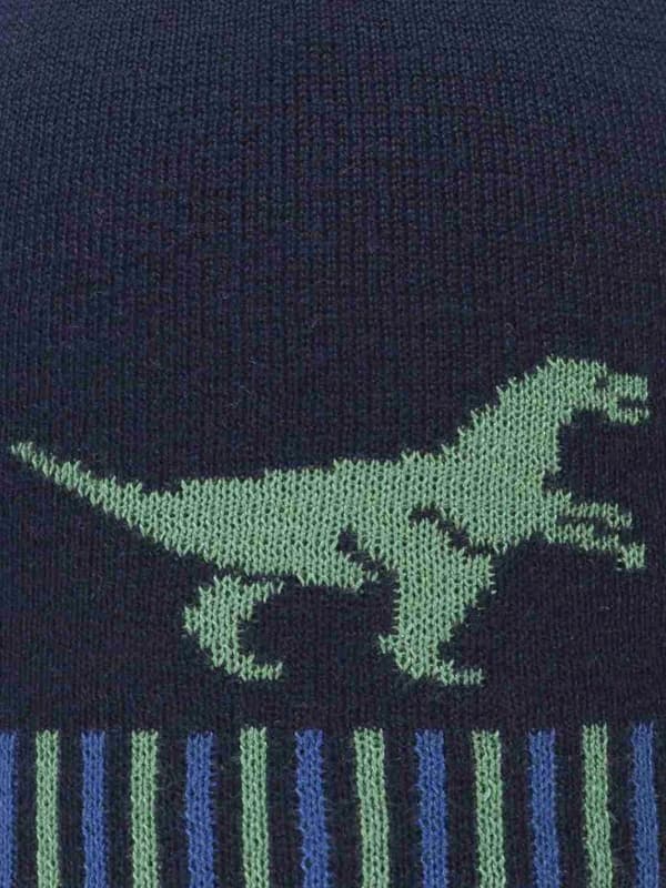Pojan hattu, sininen, dinosaurus, Döll