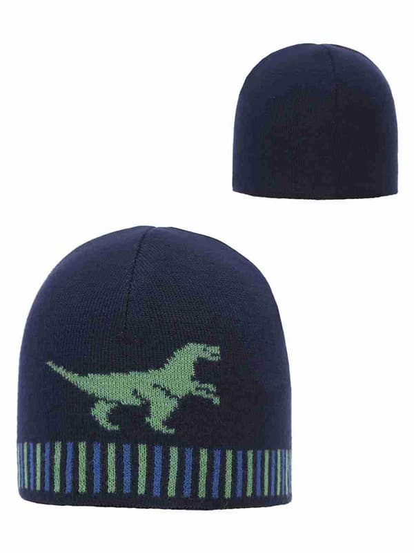 Pojan hattu, sininen, dinosaurus, Döll