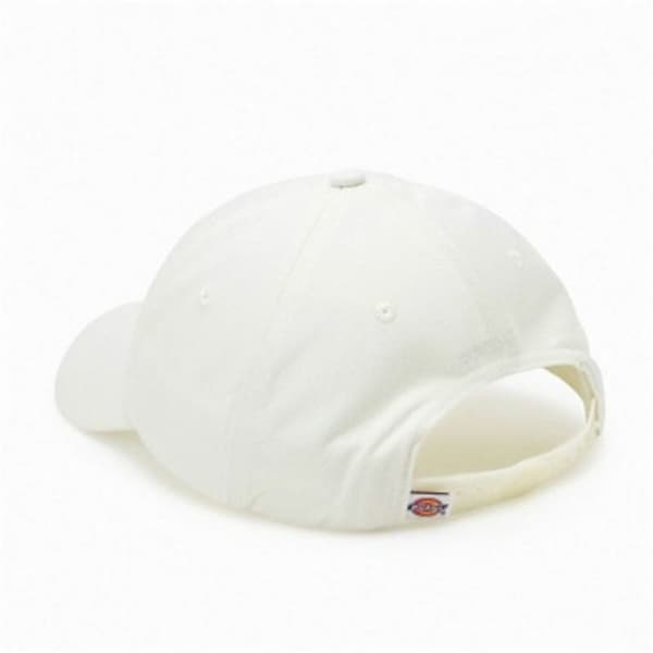 Träningskeps Dickies Hardwick Cloud (One size)