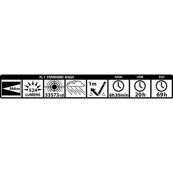 MAGLITE Torch ML300 2D LED 524LUM